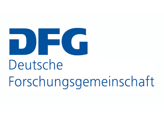 DFG proposal accepted